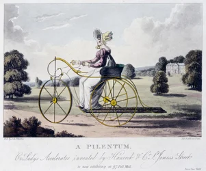 A Pilentum or Lady